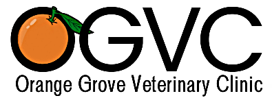 Orange Grove Veterinary Clinic